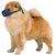 Short Snout Color-Coded Quick Muzzle