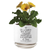 Planter She Is A Warrior Brave Bold