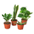 Easy Care Variety Bundle