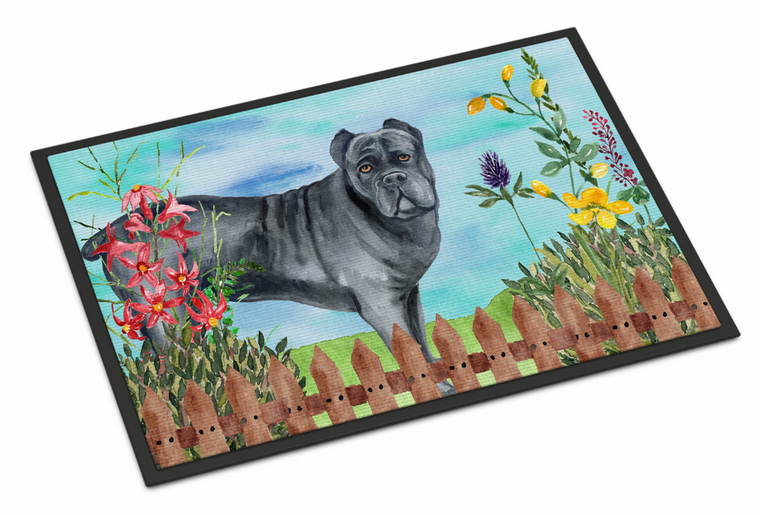 Spring Dog Art Indoor or Outdoor Mat - 652259178674