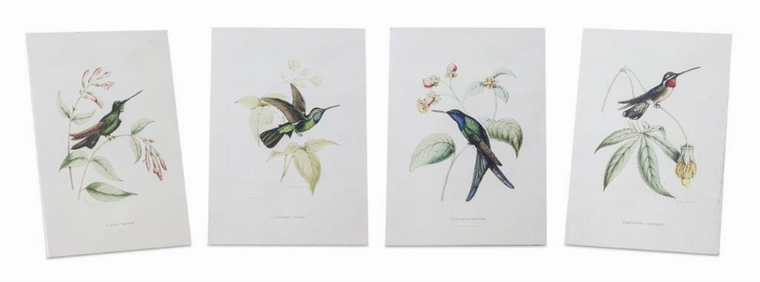 Hummingbird Print (Set of 4) 5.5"L x 8"H Wood/MDF/Paper - 746427820349