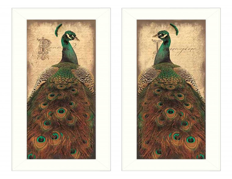 Set Of Two Peacock 1 White Framed Print Wall Art - 606114678915