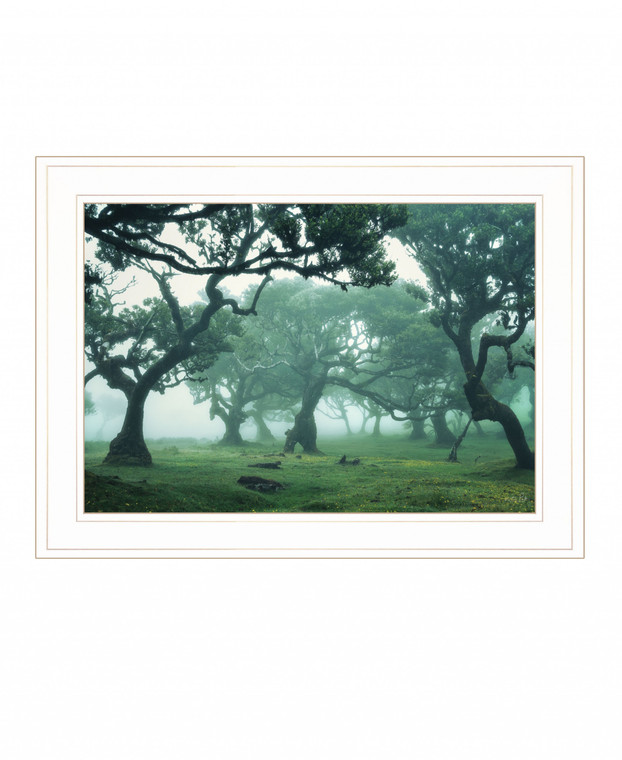 Enchanted Forest II 2 White Framed Print Wall Art - 606114053385