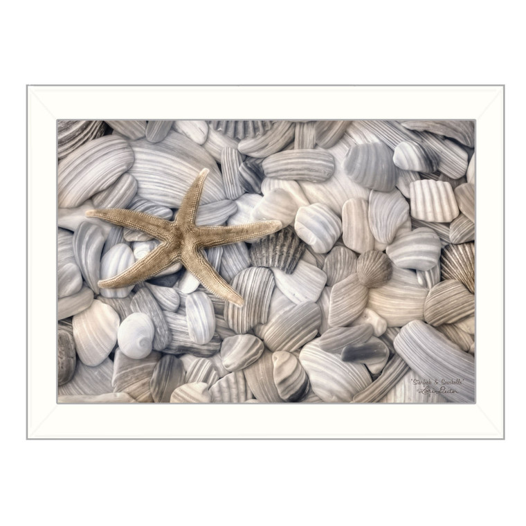 Starfish And Seashell 2 White Framed Print Wall Art - 606114058205