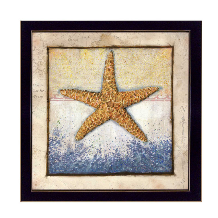 Starfish Black Framed Print Wall Art - 606114038153