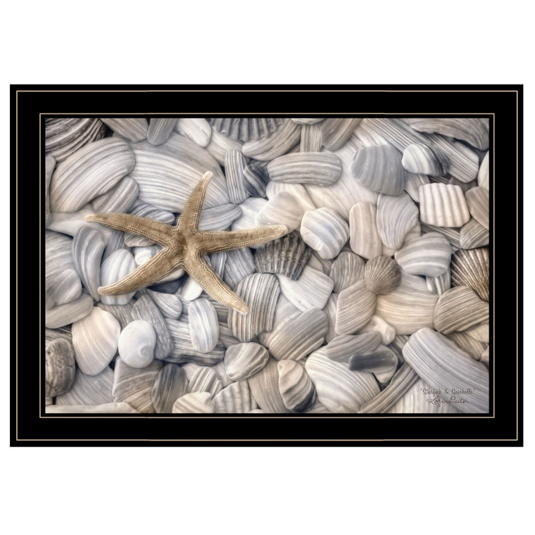 Starfish and Seashells 4 Black Framed Print Wall Art