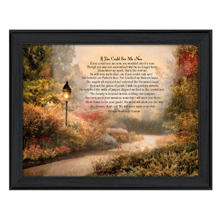 If You Could See Me Now 3 Black Framed Print Wall Art - 606114042389