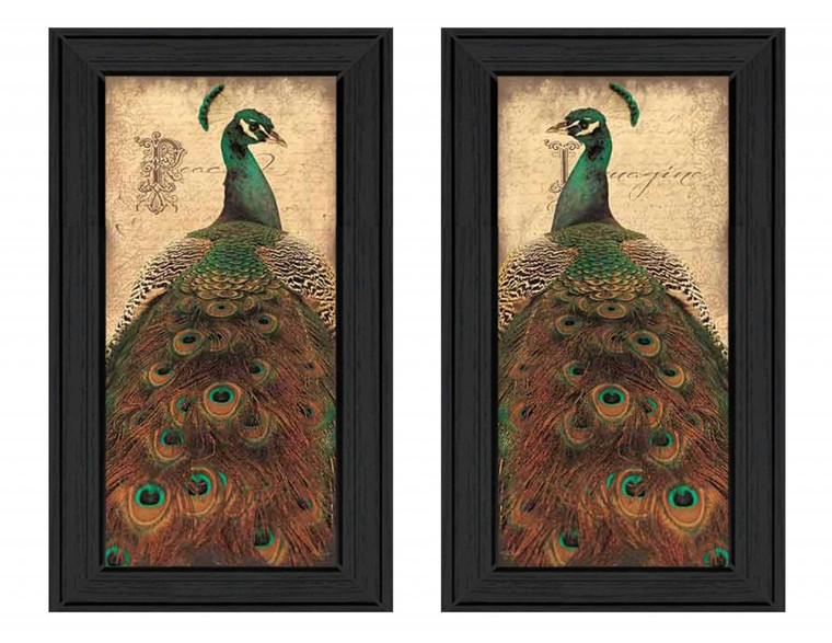 Set Of Two Peacock 2 Black Framed Print Wall Art - 606114678922