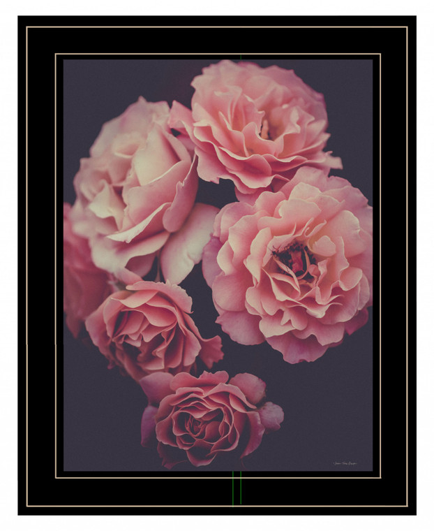 Dreamy Rose 2 Black Framed Print Wall Art - 606114056348
