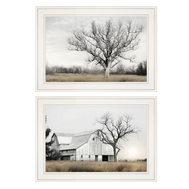 Set Of Two Ohio Fields I 1 White Framed Print Wall Art - 606114043485