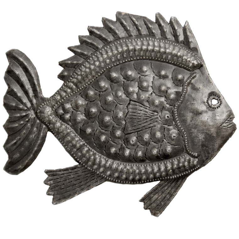 Discus Fish - 695924864694