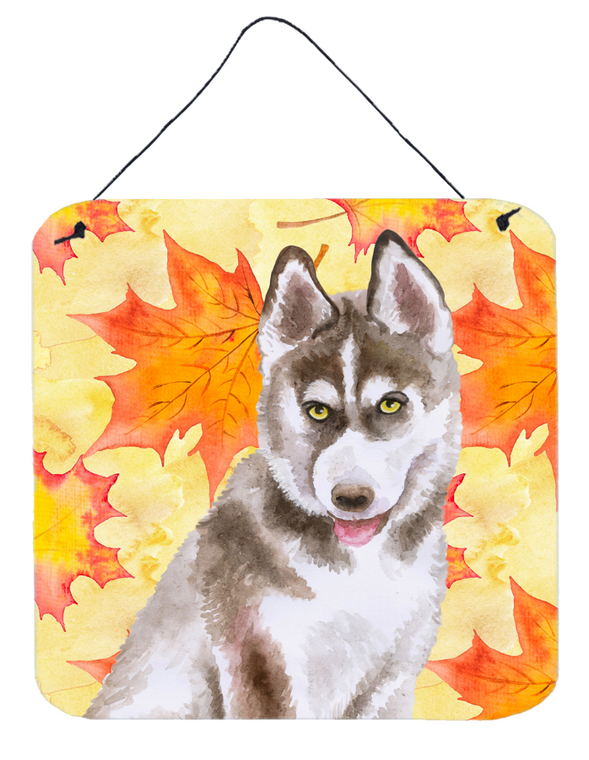 Siberian Husky Grey Wall or Door Hanging Prints - 652259210411