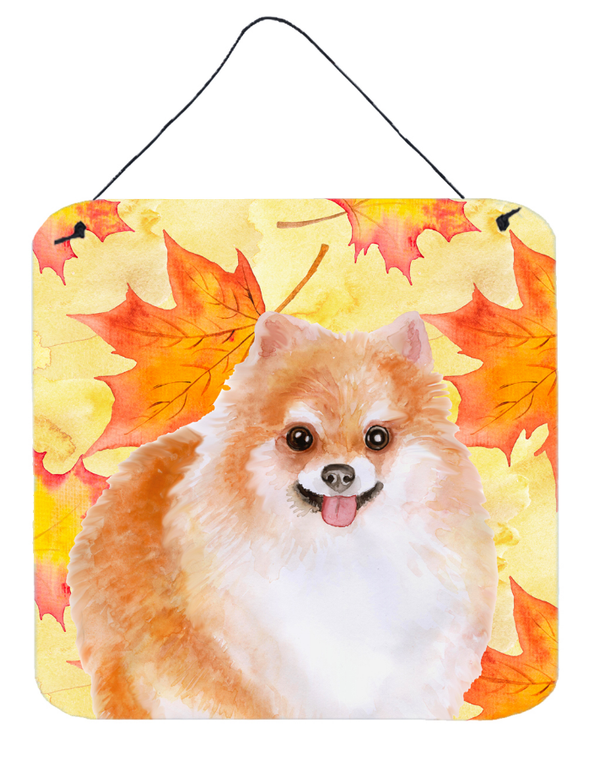 Pomeranian #2 Wall or Door Hanging Prints - 652259210619