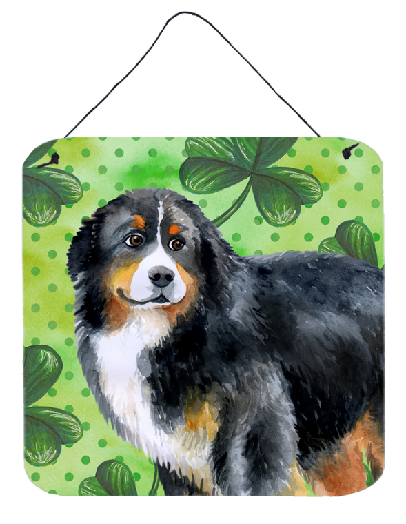Bernese Mountain Dog Wall or Door Hanging Prints - 652259209033