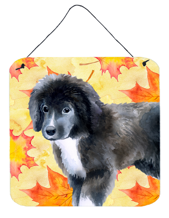 Newfoundland Puppy Wall or Door Hanging Prints - 652259210442
