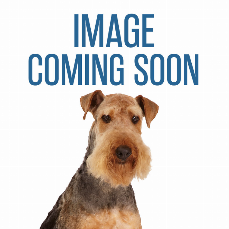 GG Snap Around Tree Dog Tie Out - 083929251562