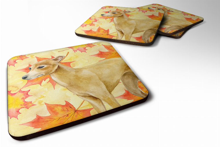 Fall Leaves with Dog Foam Coaster Set of 4 - 652259213917