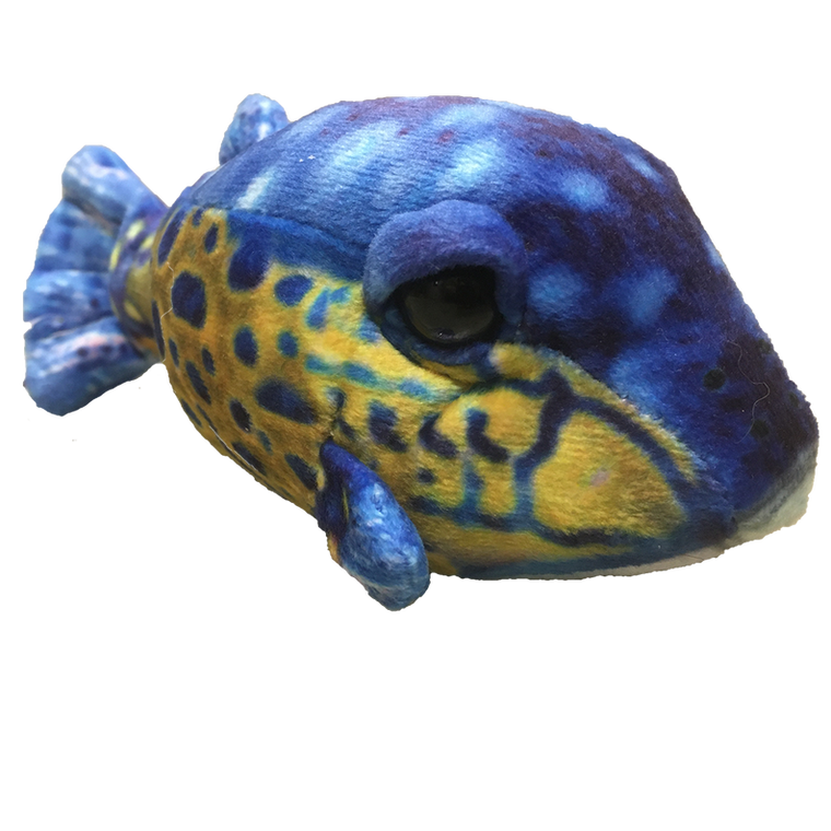 Small Box Fish 6" Aquatic Plush Blue Stuffed Animal - 667741122349