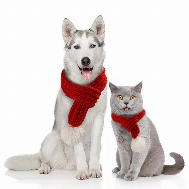 Merry Christmas Scarf for pet - 171000039475