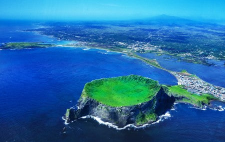 Vegan Green Tea Soothing & Relaxing Sheet Mask - Simply When - 887652004163