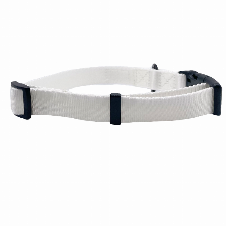 Cutie Ties Fun Design Dog Collar - 697560065534