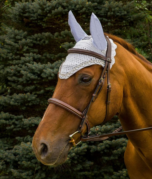 Equine Couture Fly Bonnet with Pearls and Crystals - 849913005913