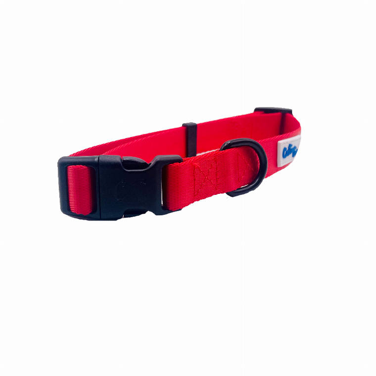 Cutie Ties Fun Design Dog Collar - 697560065503