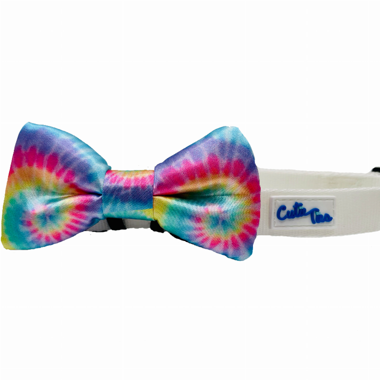 Cutie Ties Fun Design Dog Collar - 697560065558