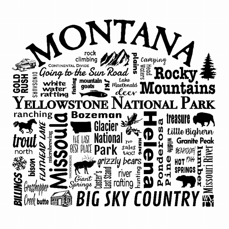 US State Destination Unisex T-shirt - Where Life Takes You (M-N) - 018391114846