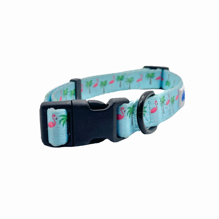 Cutie Ties Fun Design Dog Collar - 697273994596