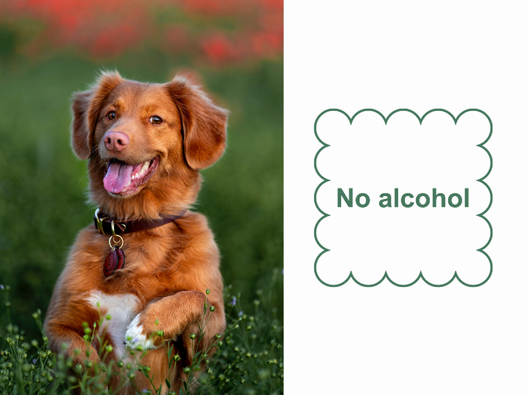 Mr. Peanut's Naturals Pet Cologne - 850032553780