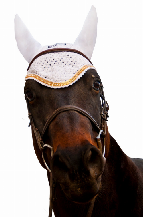Equine Couture Fly Bonnet with Gold Chain - 849913043984