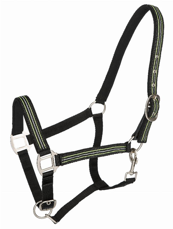 TuffRider Adjustable Nylon Breakaway Halter with Padded Crown and Nickel Hardware - 849913074698