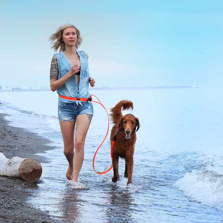 Boss Regular Leash - 692231033645