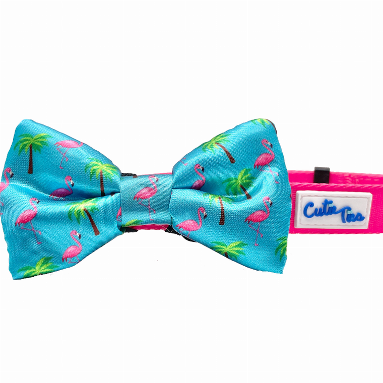 Cutie Ties Fun Design Dog Collar - 697560065602