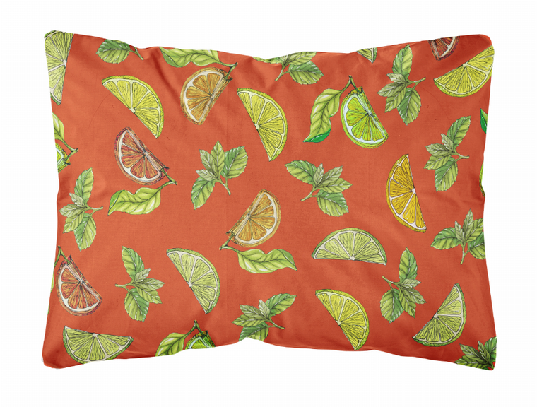 Fruits Art Canvas Decorative Pillow - 638508656773