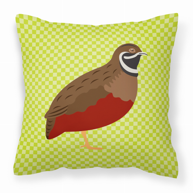Animal Art Checkboard Design Fabric Decorative Pillow - 638508928658