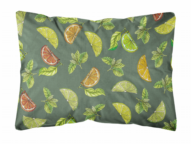 Fruits Art Canvas Decorative Pillow - 638508656797