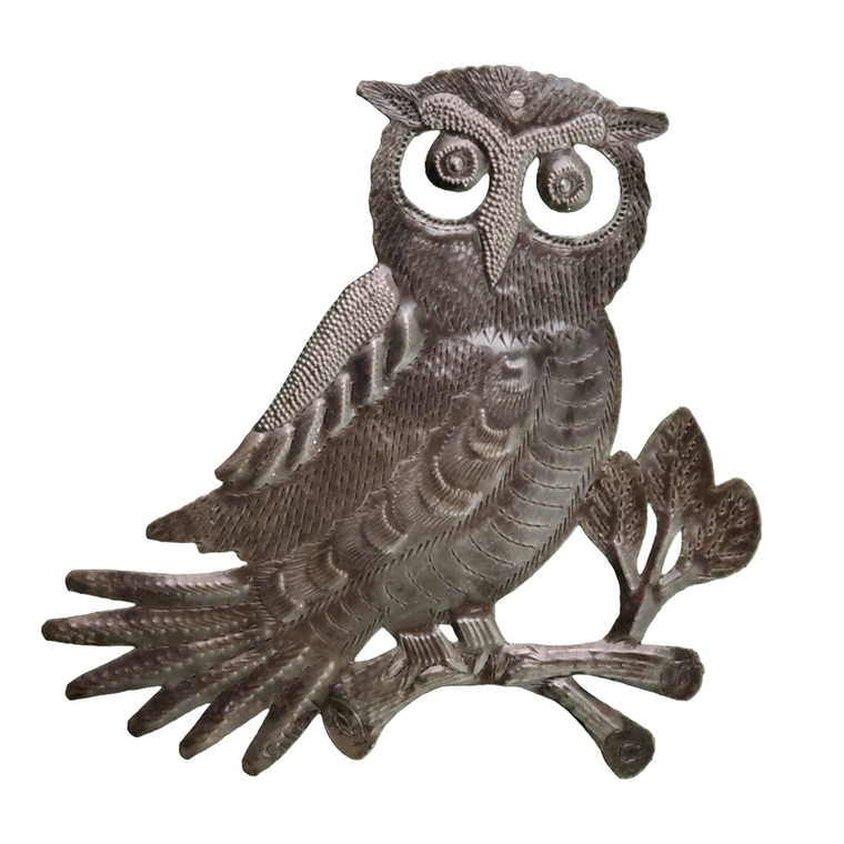 Owl on Branch - 695924870992