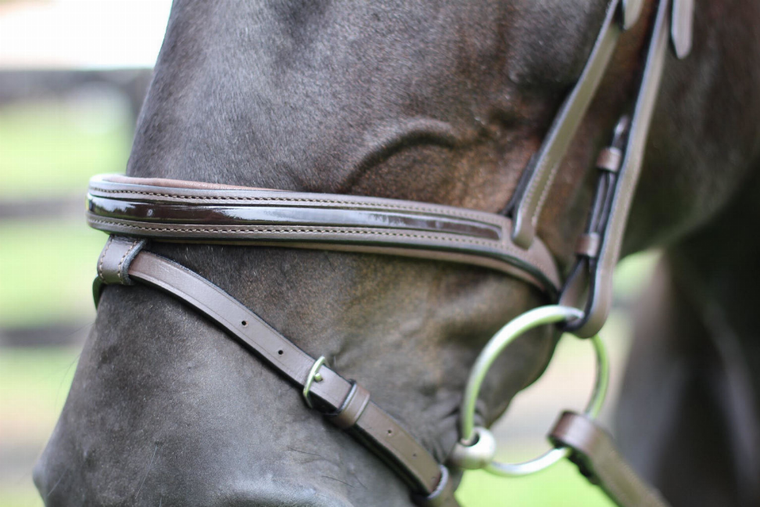 Henri de Rivel Pro Piaffe Mono Crown Bridle with Flash Noseband with Patent Leather and webbed rubber reins with leather stops - 849913061711