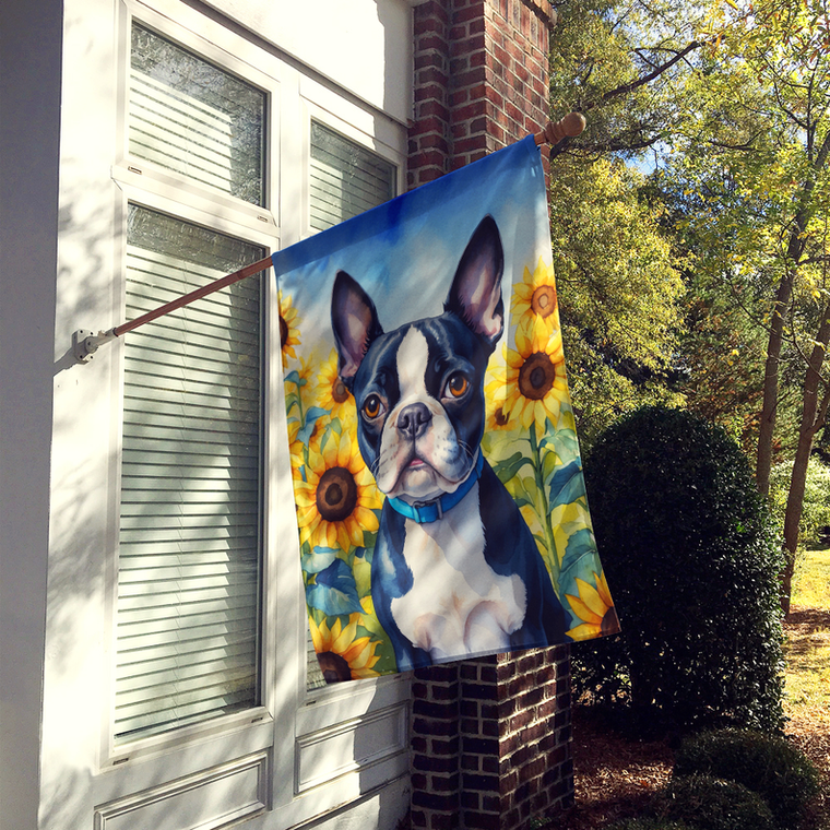 Boston Terrier in Sunflowers House Flag - 194030962251