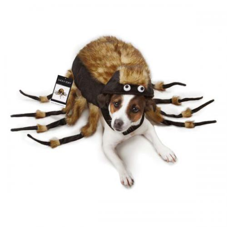 ZZ Fuzzy Tarantula Costume - 721343005711