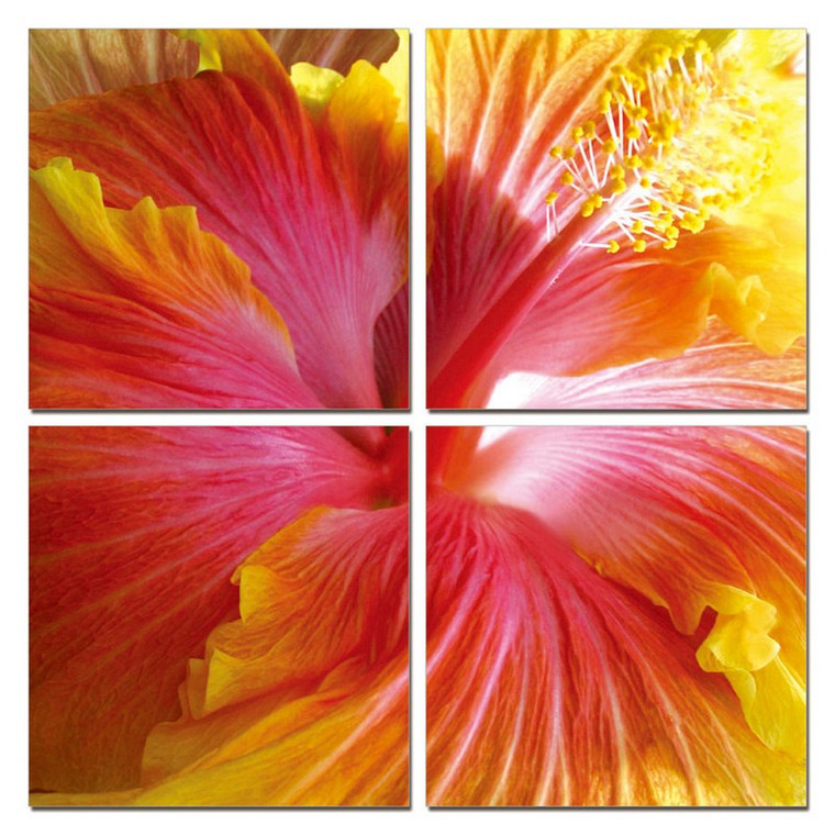 Homeroots Decor 24" Multicolor Canvas 4 Panels Hibiscus Photo, Multicolor, 24 Inch