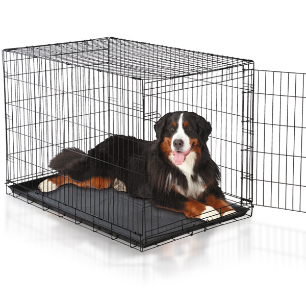 Easy Crate - 721343919049