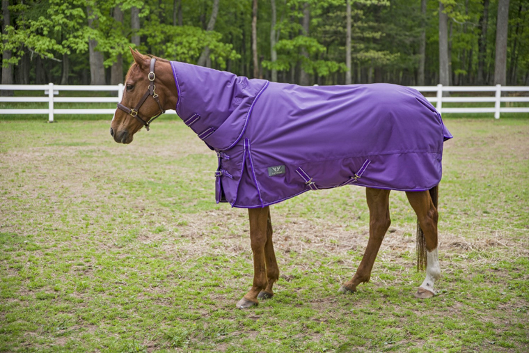 TuffRider 1680 D Super Comfy Detachable Neck Blanket