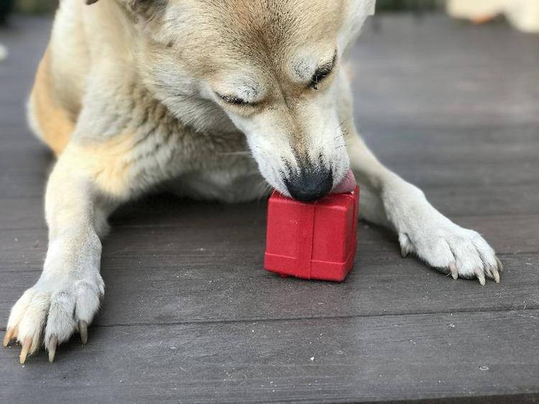 Gift Box eDispenser - Durable Rubber Treat Dispenser for Dogs