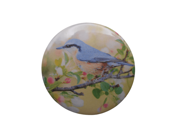Beauty Bird