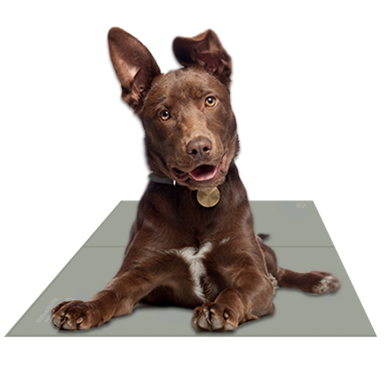 Chillz Gel Mat Large Sage Gray