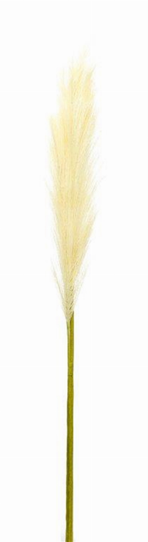 Pampas Spray (Set of 4) 30"H Polyester