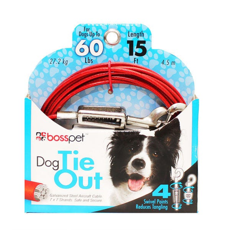 BP Tie-Out W/ Spring